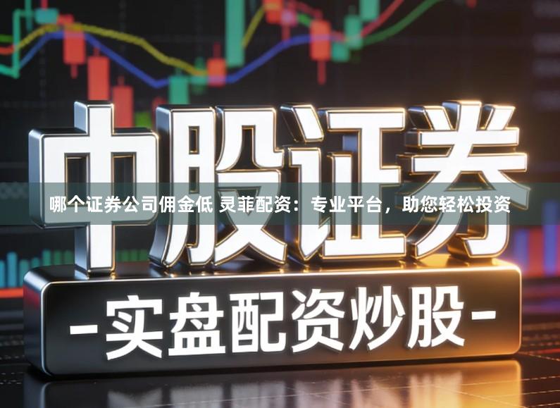 哪个证券公司佣金低 灵菲配资：专业平台，助您轻松投资