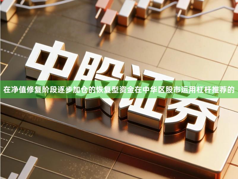 在净值修复阶段逐步加仓的恢复型资金在中华区股市运用杠杆推荐的
