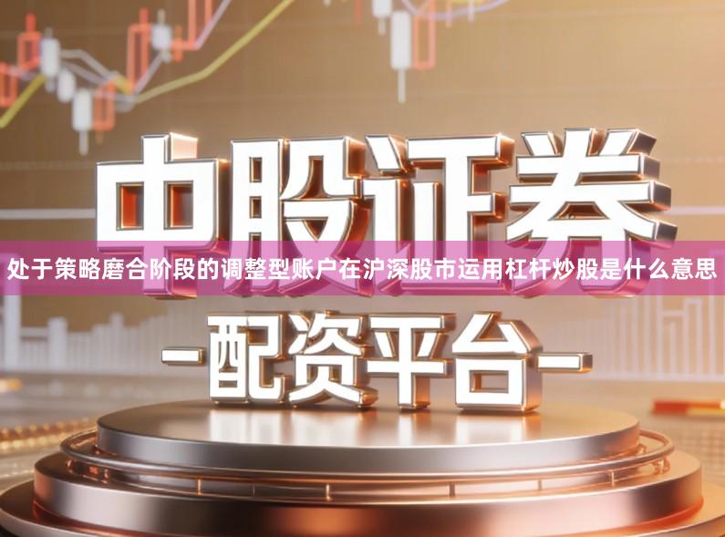 处于策略磨合阶段的调整型账户在沪深股市运用杠杆炒股是什么意思