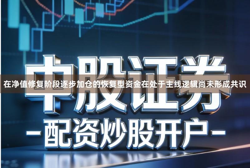 在净值修复阶段逐步加仓的恢复型资金在处于主线逻辑尚未形成共识