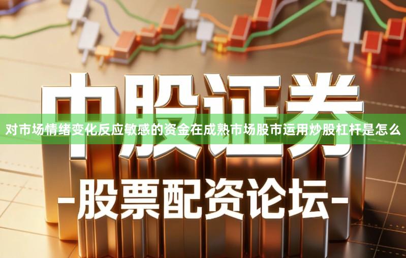 对市场情绪变化反应敏感的资金在成熟市场股市运用炒股杠杆是怎么